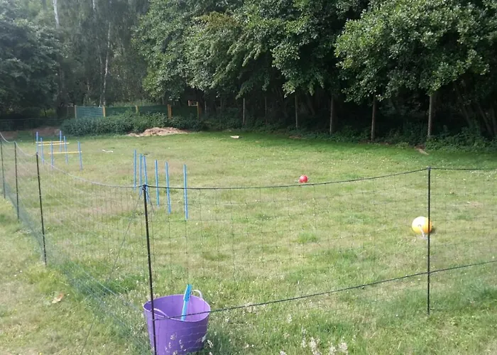 Wellness C6 Kellenhusen